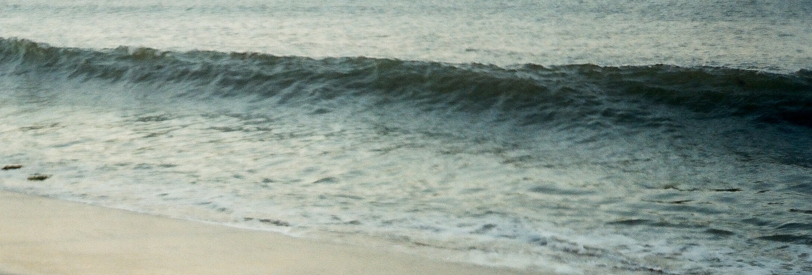 Ocean Banner